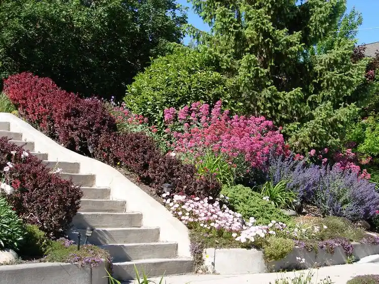 treppe mit farbenfrohen gewächsen