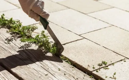 unkraut in fugen entfernen mit gartenwerkzeugen