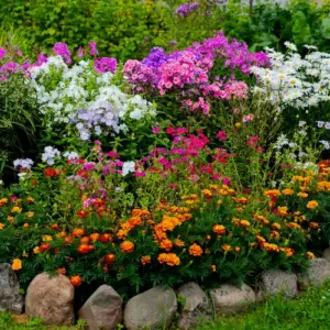 welche pflanzen für lehmboden im garten und wie sie den boden vorbereiten