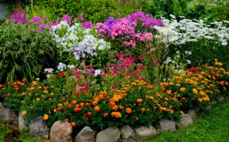 welche pflanzen für lehmboden im garten und wie sie den boden vorbereiten