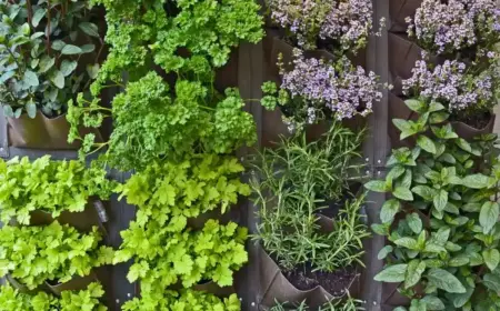 wie kann man einen vertikalen garten gestalten