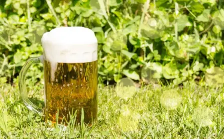 bier im garten verwenden wie sie mit bier pflanzen düngen und gießen, schädlinge bekämpfen usw. können