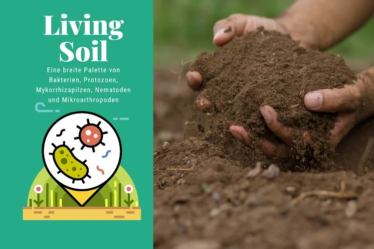 was ist living soil