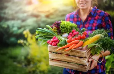 saisonales gemüse im april dem importierten vorziehen für mehr vitamine