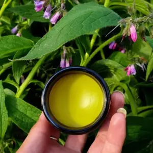 Make your own recipe for spring comfrey ointment