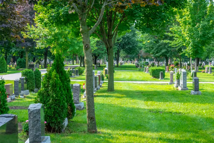 Permanent planting of cemeteries with small trees