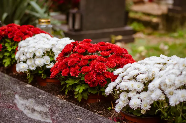 Grabeinfassung mit Blumen in Töpfen - Im Winter ausgraben und überwintern