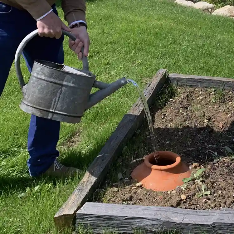 Homemade Clay Pot Water Dispensers for Plants Provide Efficient Watering |