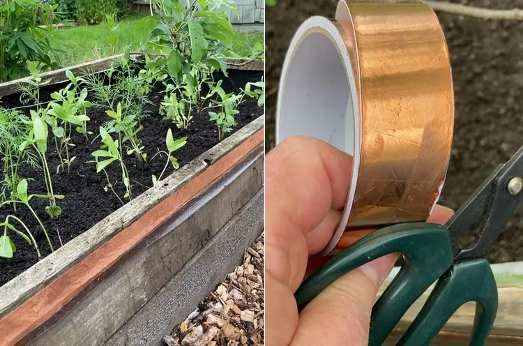 Mit Kupfer Schnecken im Garten bekämpfen - Breite Bänder oder Netze