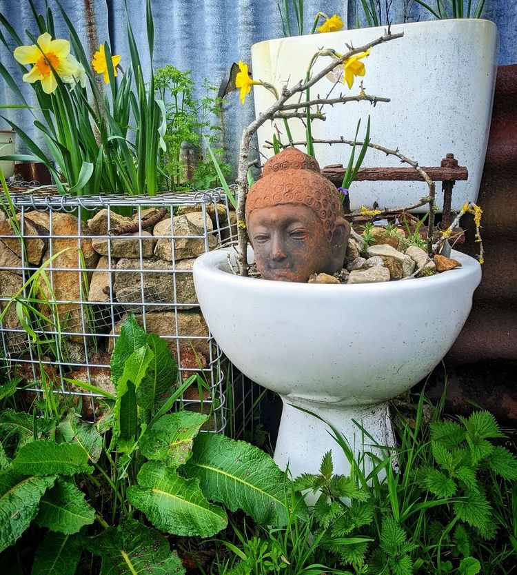 Alte Toilette im Garten bepflanzen mit Narzissen und anderen Frühlingsblumen und Deko