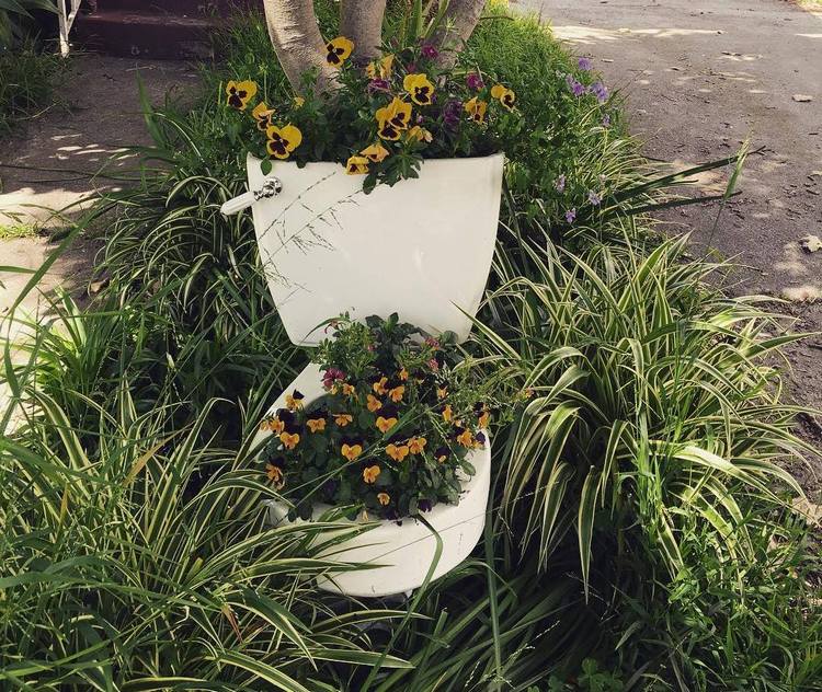 Alte Toilette im Garten bepflanzen mit Stiefmütterchen als Topfpflanzen