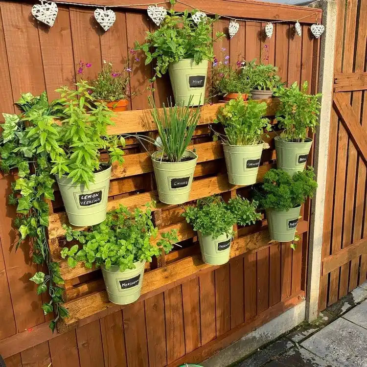 Aus Paletten eine Kräuterwand auf dem Balkon bauen für die Wand und Hängetöpfe