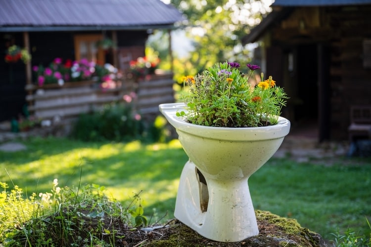 Blumen, Gemüse oder Kräuter in kleinen, extravaganten Beeten großziehen