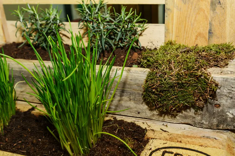 Das vertikale Kräuterbeet eignet sich auch für die Terrasse und den kleinen Garten