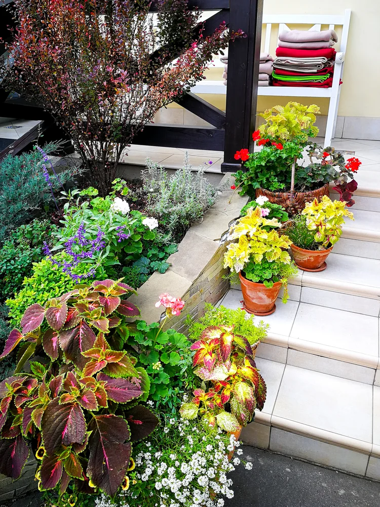 Einfache Deko für die Treppe mit Blumen und Kräutern in Töpfen