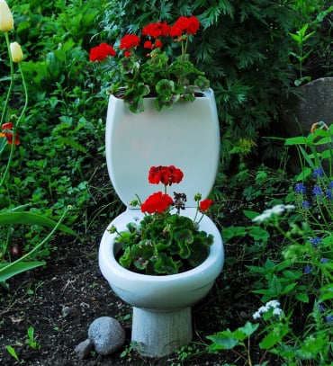 Gartendeko aus alten Sachen - Toilettenschüssel mit roten Geranien schmücken
