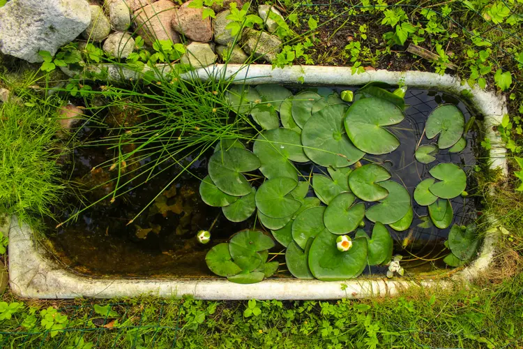 Ideen für die alte Badewanne - Bauen Sie schnell und einfach einen Teich