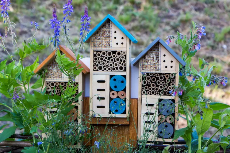 Insektenhotel kaufen, mit Farben gestalten und Botschaft anbringen