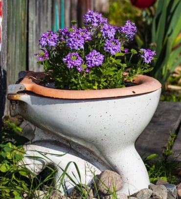 Toilettenschüssel als Alternative für Kübel und Töpfe für die Vintage-Gartengestaltung