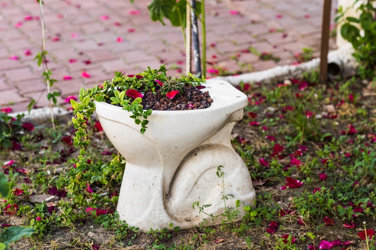 Upcycling von Toiletten als Dekorationsideen für den Garten mit Efeu