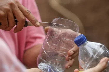 Anleitung, wie Sie einen Schneckenschutz aus Plastikflaschen bauen