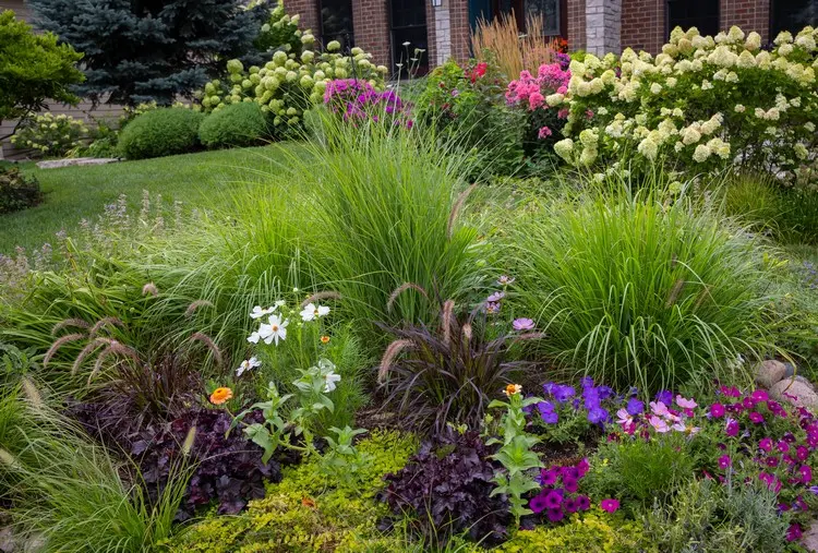 Chinaschilf, Lavendel, Katzenminze, dunkelvioletter Salbei, Pfennigkraut, Phlox, Brunnengras