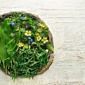 Rezepte für Wildkräutersalat und Dressing - Kostenloses Essen aus der Natur