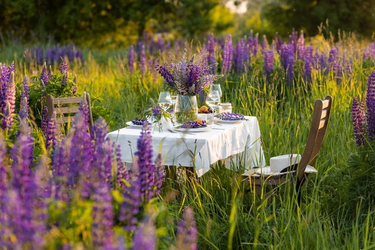 Schlichte Lavendel-Deko für Ihre Teller