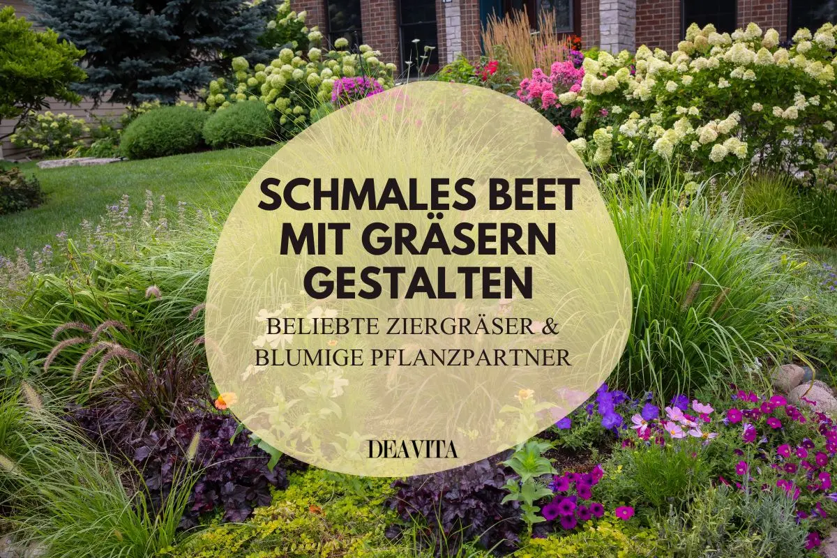 Schmales Beet mit Gräsern gestalten - Ziergräser und blühende Pflanze kombinieren