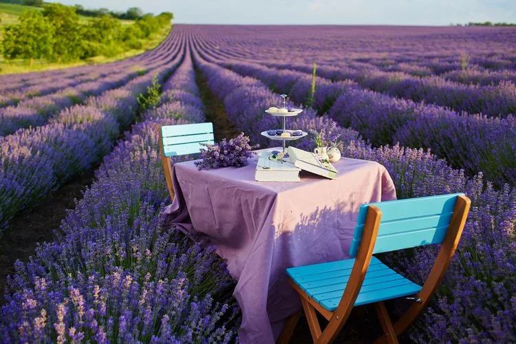 Sommerliche Tischdeko mit Lavendel - schöne Ideen