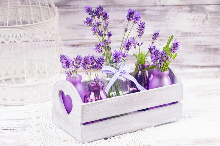 Sommerliche Tischdeko mit Lavendel-Vasen in lila Farbe