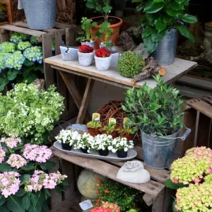 Alte Obstkisten im Garten verwenden - coole Ideen