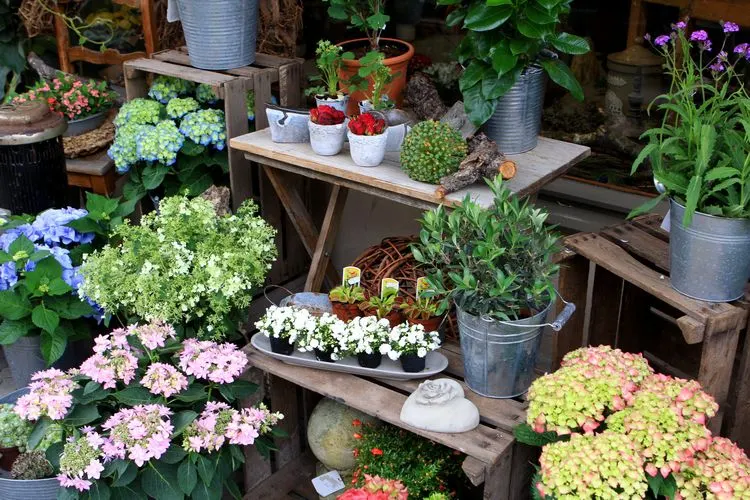 Alte Obstkisten im Garten verwenden - coole Ideen