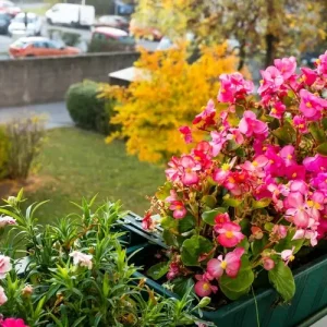 Dekorieren mit Blüten, um das triste Herbstwetter bunter zu gestalten