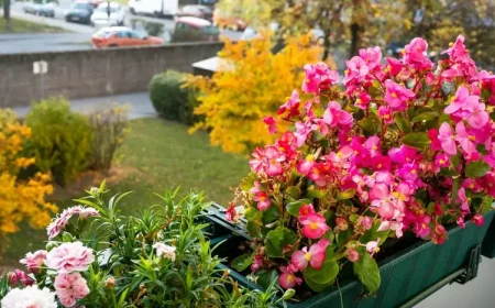 Dekorieren mit Blüten, um das triste Herbstwetter bunter zu gestalten