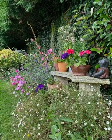 Gartenbank mit vielen Blumentöpfen