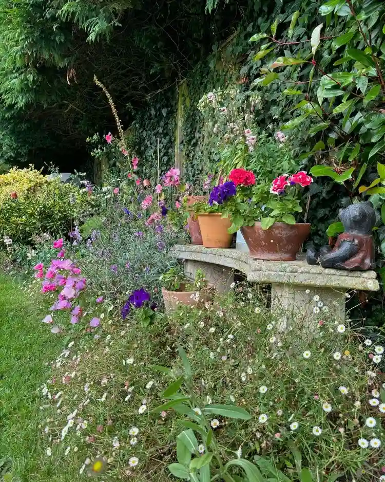 Gartenbank mit vielen Blumentöpfen