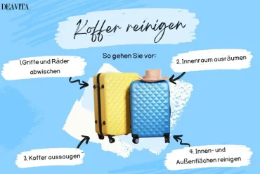 koffer reinigen in vier schritten