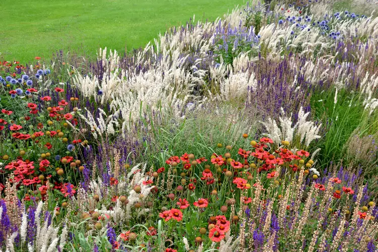 Natürliche Gartengestaltung mit Wiesenblumen und Gräsern