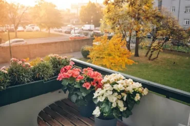 Nelken im Kasten und Begonien im Topf auf dem Balkontisch