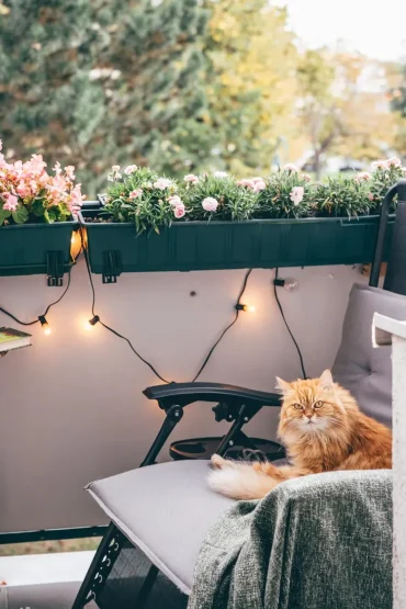 Romantisches Licht und eine Kuscheldecke für die dunklen und kühlen Herbstabende