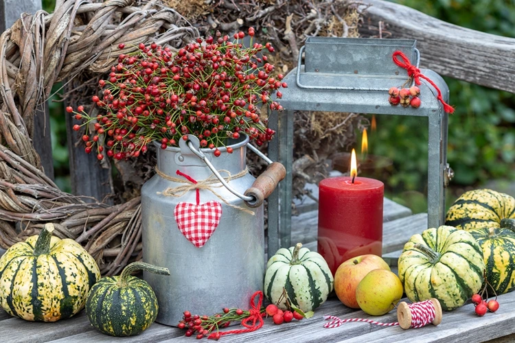 Beerenzweige in einer Milchkanne aus Metall, Zierkürbisse, Kranz und Laterne