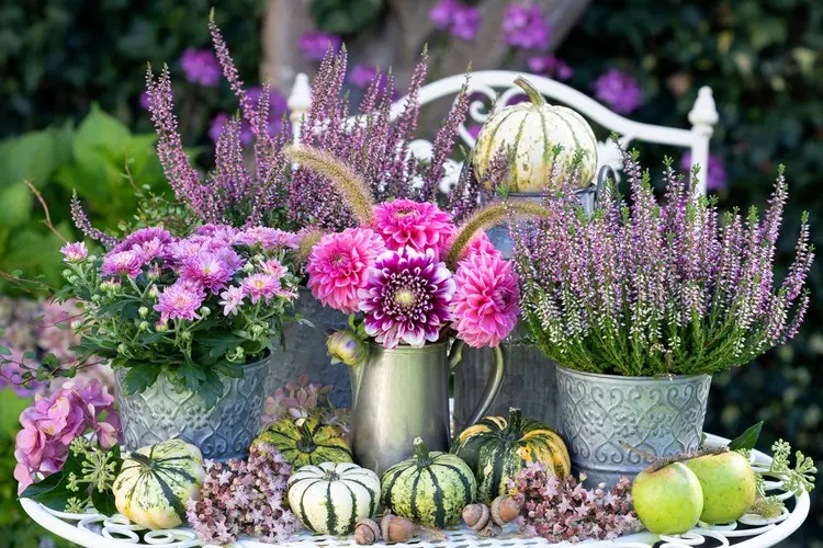 Deko für den Gartentisch im Herbst in Rosa und Pink mit Dahlien, Chrysanthemen und Heidekraut