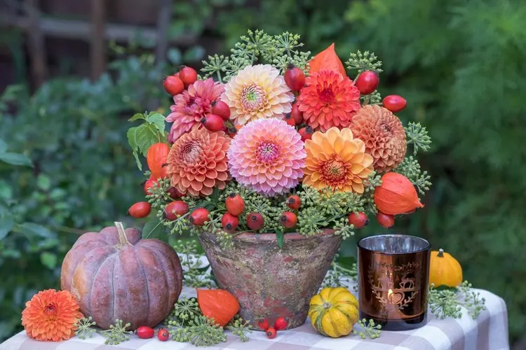 Deko für den Gartentisch im Herbst mit Dahlien in warmen Farben