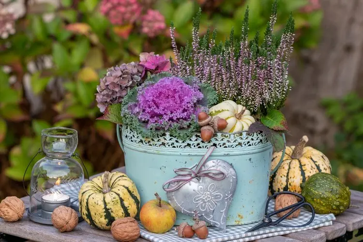 Deko für den Gartentisch im Herbst mit Zierkohl, Heidekraut und Kürbissen