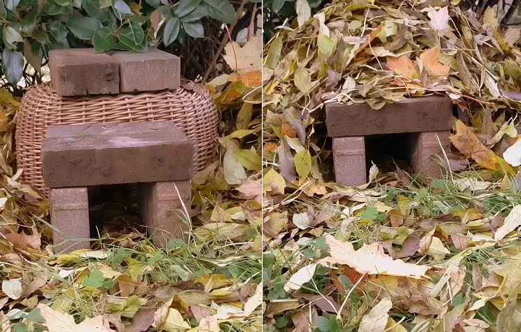 Ein alter Korb, abgedeckt mit Laub, ist ein tolles Winterquartier für Igel