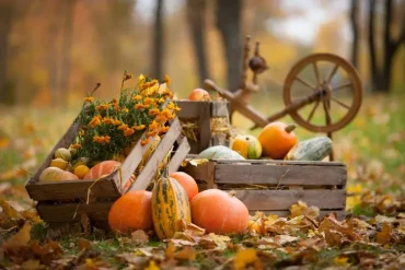 Für die Herbstdeko im Garten alte Weinkisten mit Kürbissen und Herbstblumen befüllen