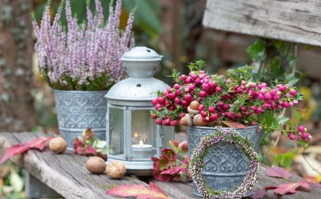 Gartenbank im Herbst dekorieren mit Beeren, Heidekraut und Laterne