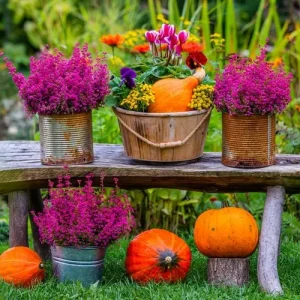 Herbstblumen in Dosen und im Holzbottich auf einer Holzbank im Garten