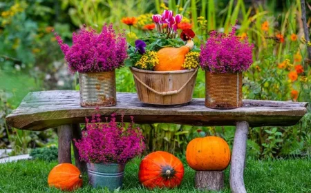 Herbstblumen in Dosen und im Holzbottich auf einer Holzbank im Garten